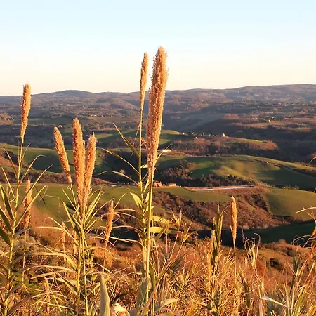 Agriturismo Le Docce * Castelfiorentino
